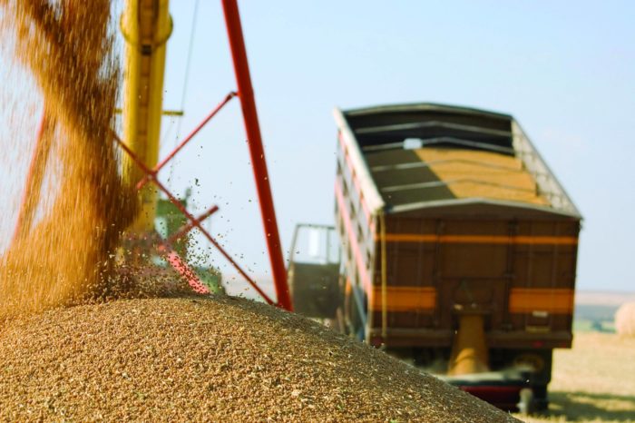 Украина увеличила импорт агропродукции на 13%