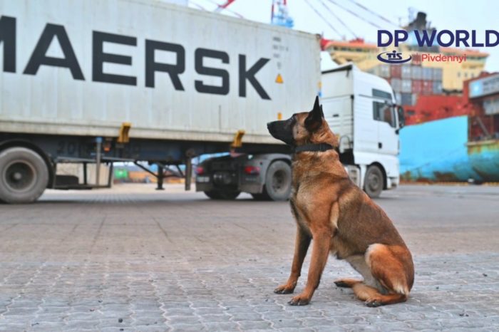 На ТИСе показали, кто проверяет контейнеры из Латинской Америки