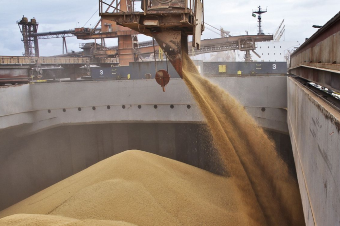 Почти 90 тыс. тонн черноморской пшеницы закупили Филиппины