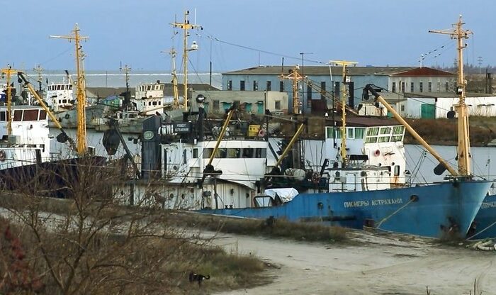 Порт Геническ могут превратить в рыбный порт