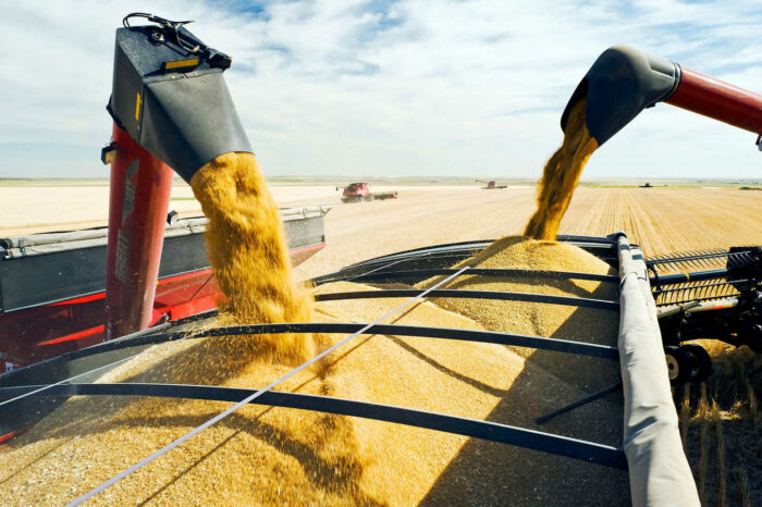 Экспорт зерновых превысил 24 млн тонн