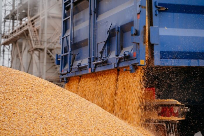 USDA прогнозує зменшення врожаю кукурудзи в Україні