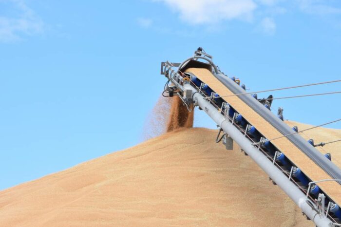 Цены на пшеницу в Украине остаются низкими