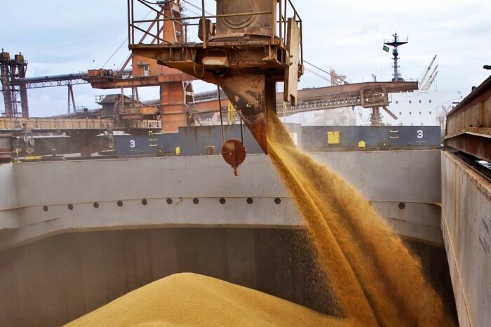 Пшеничный (не)баланс: что делать экспортерам?
