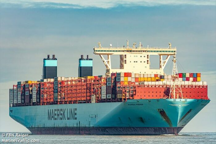 Maersk показал, как отдыхают морские котики (ВИДЕО)