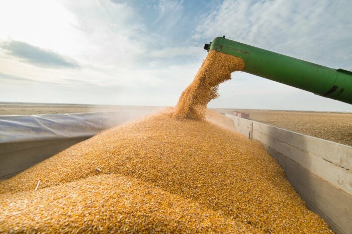 Украина в 5 раз увеличила экспорт сельхозпродукции