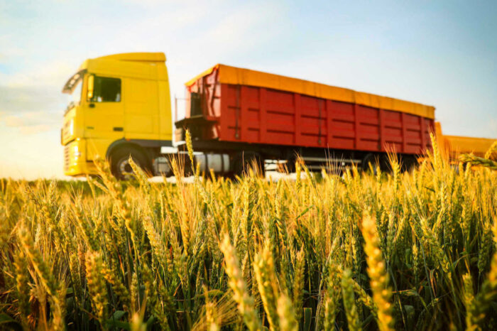 Украина предлагает создать на границе с Польшей зеленые коридоры для зерна