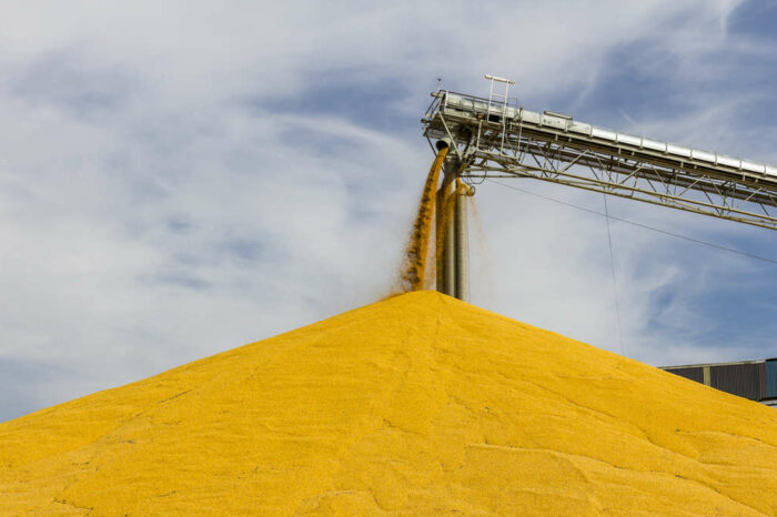 Украина сможет экспортировать 20 млн тонн зерна за три месяца