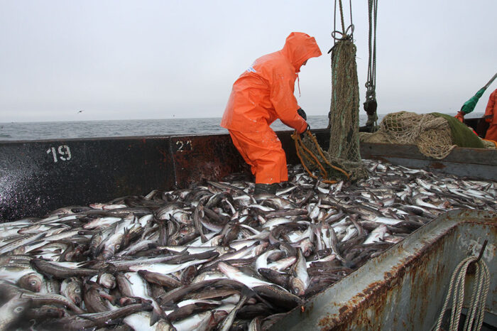 Из-за войны и блокады портов в Украине возник дефицит рыбы и морепродуктов