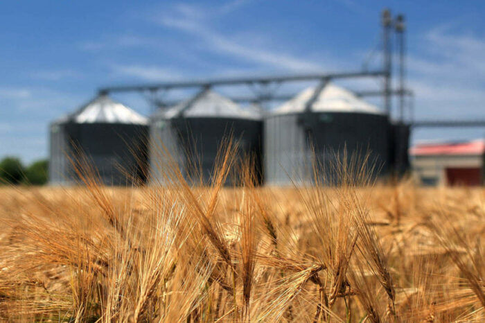 Еврокомиссия откроет «пути солидарности» для экспорта украинского зерна