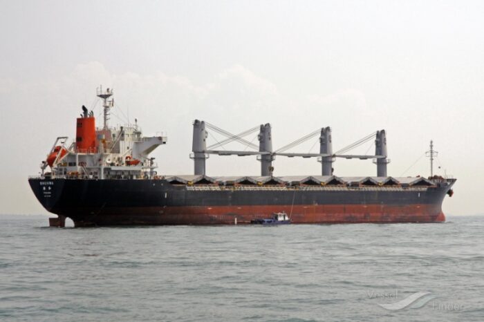 Турция выпустила из Босфора российское судно с краденым зерном