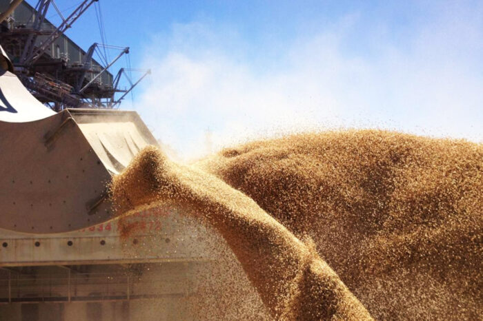 В Украине есть зерно для экспорта на $10 млрд