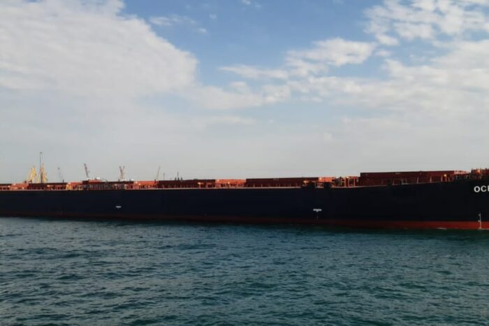 Понад 370 тис. тонн сільгосппродукції експортували з портів Великої Одеси за 9 днів