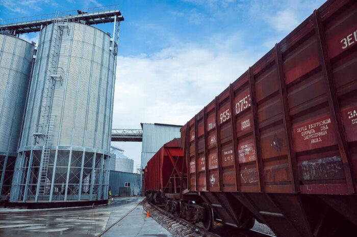 Замість портів: в Україні вдвічі більше вагонів-зерновозів, ніж в ЄС