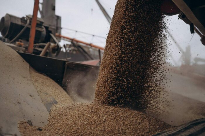Європа продовжує імпорт українського зерна «коридорами солідарності»