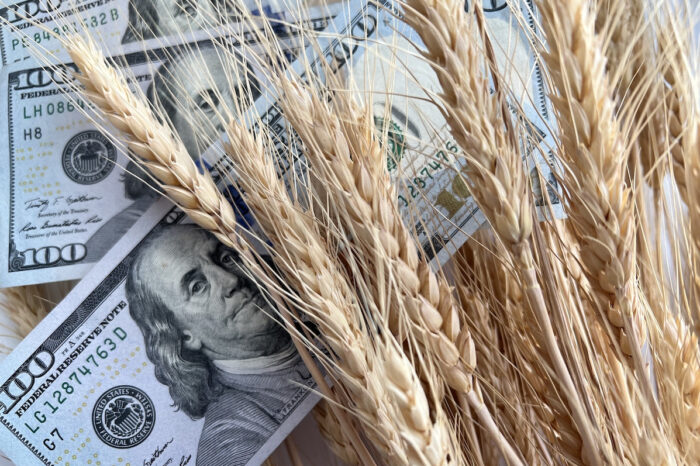 Українських зернотрейдерів підозрюють у валютних махінаціях на $1,8 млрд