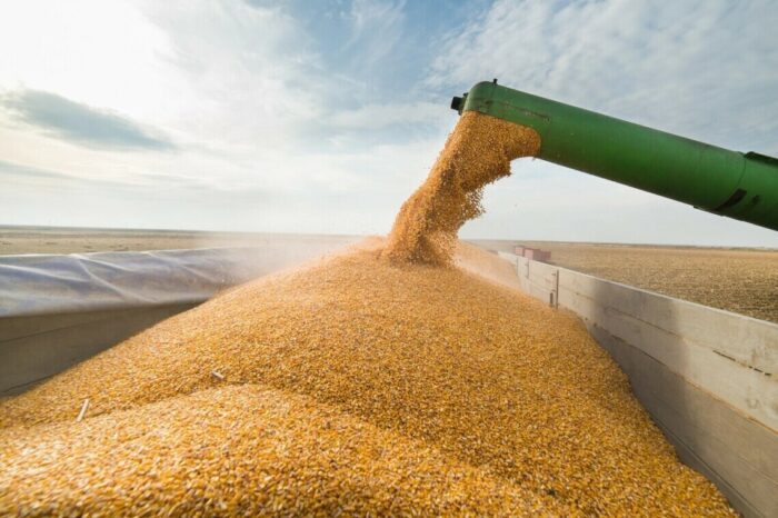 Україна відправить до Нігерії 25 тис. тонн зерна в рамках Grain from Ukraine