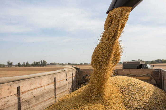 Росія поставила до Сирії понад 500 тис. тонн краденого зерна