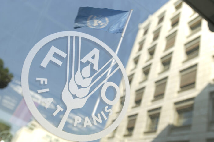 Україна розраховує на підтримку FAO щодо продовження зернової угоди