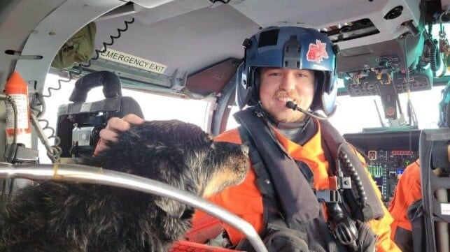 Берегова охорона США врятувала моряка та його собак