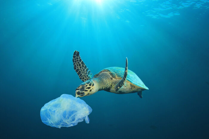 Кількість пластику у світовому океані може зрости втричі до 2040 року