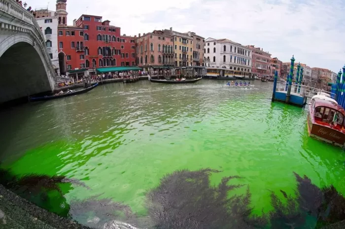 У центральному каналі Венеції позеленіла вода 