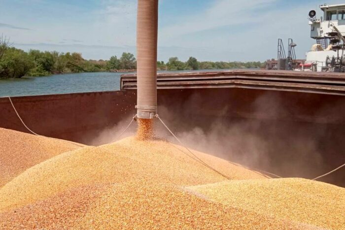 Заборону на імпорт українського зерна продовжили до вересня, – ЗМІ