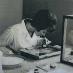 Як Держхлібінспекція контролювала американське зерно в Одеському порту?