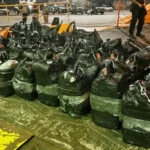 Бразильська поліція виявила 1,5 тонни кокаїну в автомобілі та контейнеровозі