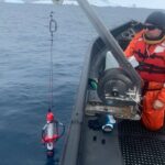 Через глобальне потепління вміст хлорофілу в океані за рік збільшився утричі