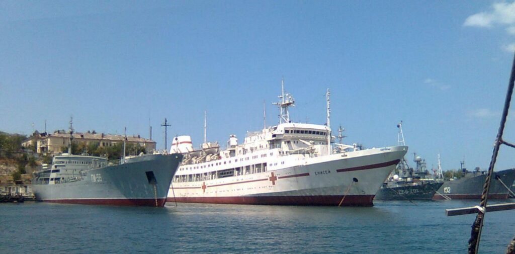 Госпітальні судна: що вони роблять у Газі та чи потрібні вони Україні? 

