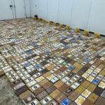 У порту Санкт-Петербурга вдруге за місяць знайшли тонну кокаїну