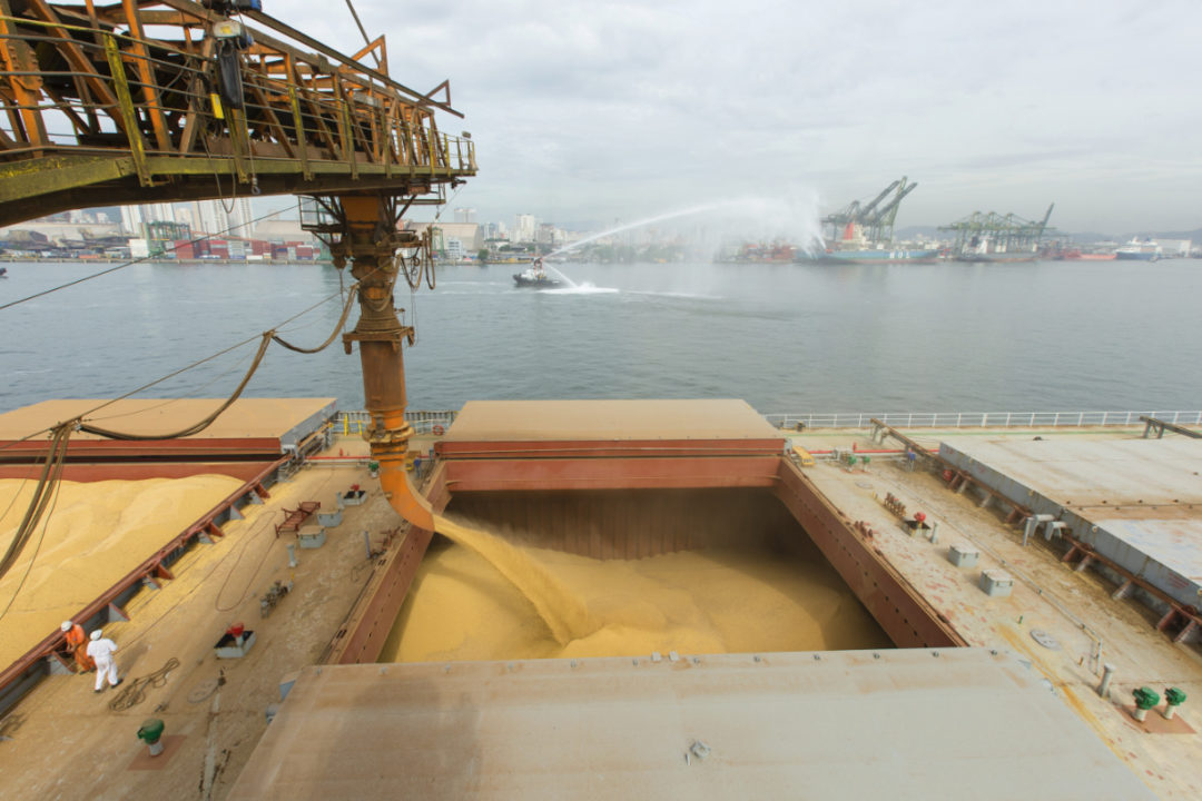 Порти України збільшили перевалку майже на 70% | Ukrainian Shipping ...